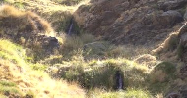 stream of water on the mountain, there are stones and rocks, there is grass