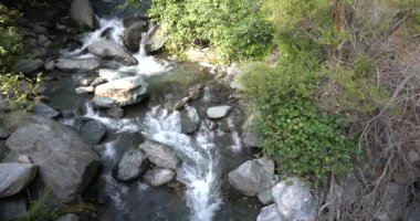 Güney İspanya 'da Sierra Nevada' da bir nehirden akan su, taşlar ve kayalar var, bitki örtüsü var.