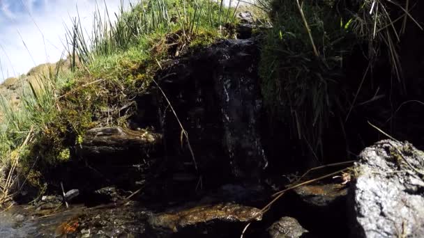 Stream Water Mountain Stones Rocks Grass — Vídeos de Stock