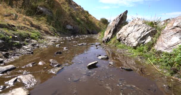 Stream Water Mountain Stones Rocks Grass — Vídeo de Stock