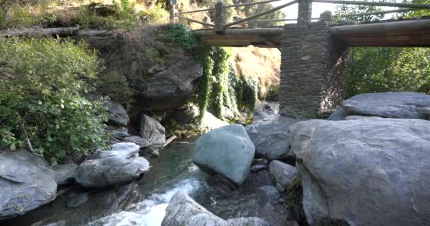스페인 시에라 흐르는 물에는 바위가 초목도 다리도 있습니다 — 비디오