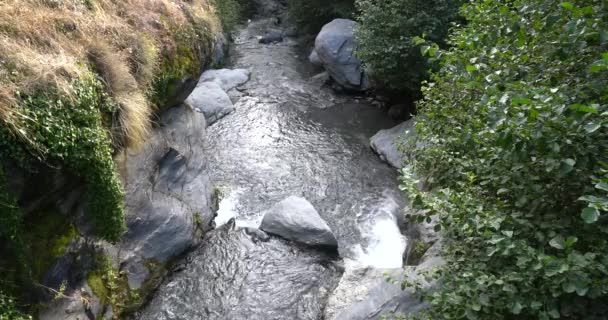 Water Flowing River Sierra Nevada Southern Spain Stones Rocks Vegetation — Stock Video