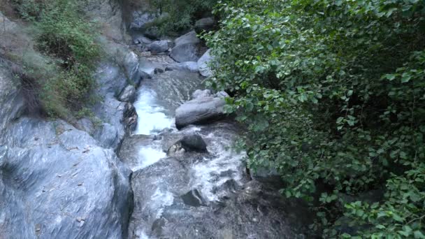 南スペインのシエラネバダ山脈の川を流れる水は 石や岩があり 植生があります — ストック動画