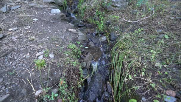 Stream Water Mountain Stones Rocks Grass — Αρχείο Βίντεο
