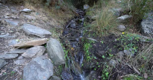 Stream Water Mountain Stones Rocks Grass — ストック動画