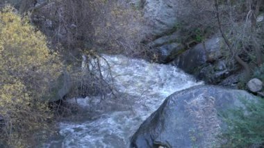 Güney İspanya 'da Sierra Nevada' da bir nehirden akan su, taşlar ve kayalar var, bitki örtüsü var.
