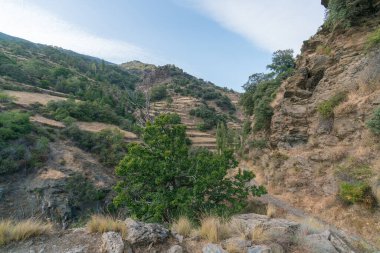 İspanya 'nın güneyindeki Sierra Nevada' daki dağlık arazide ağaçlar, çalılar ve çimenler, kayalar ve taşlar var. Dağlık bir bölge ve gökyüzünde bulutlar var.