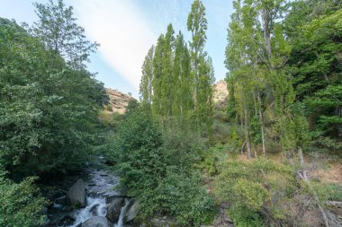 Güney İspanya 'da Sierra Nevada nehri, ağaçlar, çalılar ve çimenler, kayalar ve taşlar var, dağlık bir bölge, gökyüzü bulutlu.