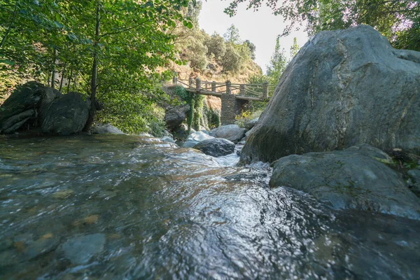 Rio Sierra Nevada Sul Espanha Uma Ponte Árvores Arbustos Grama — Fotografia de Stock