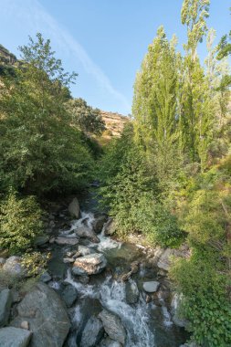 Güney İspanya 'da Sierra Nevada nehri, ağaçlar, çalılar ve çimenler, kayalar ve taşlar var, dağlık bir bölge, gökyüzü açık.