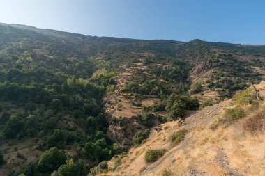 İspanya 'nın güneyindeki Sierra Nevada' daki dağlık arazide ağaçlar, çalılar ve çimenler, kayalar ve taşlar var. Dağlık bir bölge ve gökyüzünde bulutlar var.