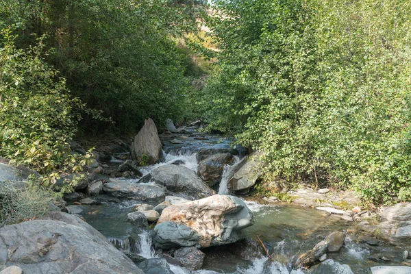 南スペインのシエラネバダ川は 茂みや草があり 岩や石があり それは山岳地帯です — ストック写真