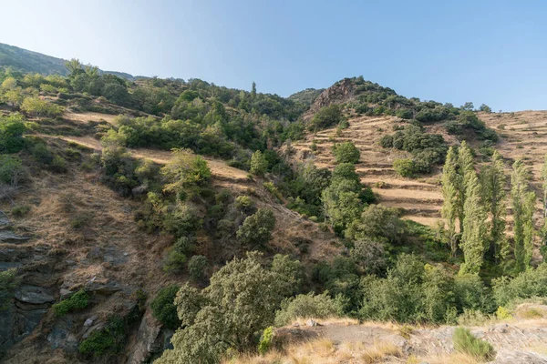İspanya 'nın güneyindeki Sierra Nevada' daki dağlık arazide ağaçlar, çalılar ve çimenler, kayalar ve taşlar var. Dağlık bir bölge ve gökyüzünde bulutlar var.