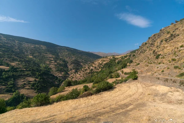 Mountainous Landscape Sierra Nevada Southern Spain Trees Bushes Grass Rocks — Φωτογραφία Αρχείου