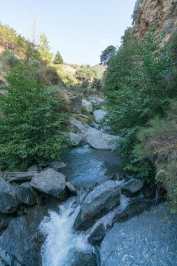 The Sierra Nevada river in southern Spain, there are trees, bushes and grass, there are rocks and stones, it is a mountainous area, the sky is clear