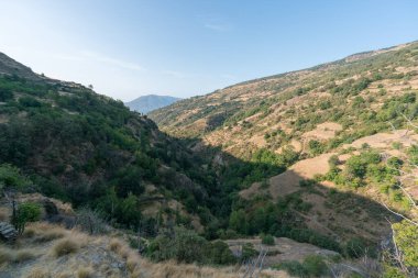 Sierra Nevada 'nın dağlık arazisi, ağaçlar, çalılar ve çimenler var, gökyüzü açık.