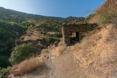 dirt road in the Sierra Nevada mountain, there is an abandoned farmhouse, there are trees, shrubs and dry grass, there are stones, the sky is clear