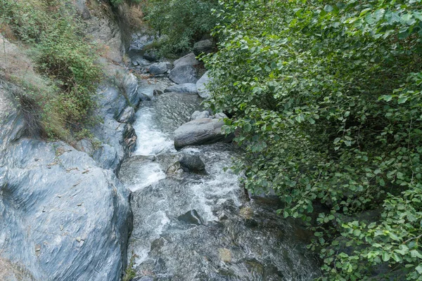 Sierra Nevada River Southern Spain Trees Bushes Grass Rocks Stones — Zdjęcie stockowe