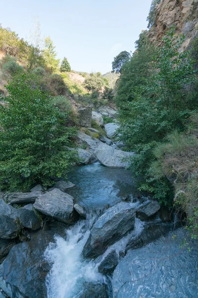 南スペインのシエラネバダ川は 茂みや草があり 岩や石があり それは山岳地帯であり 空は明確です — ストック写真