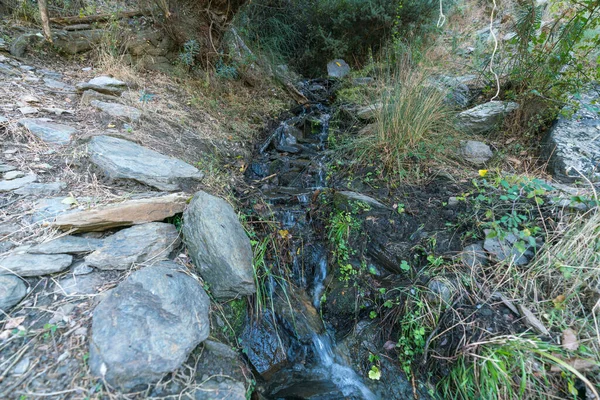 Water Flowing Stream Sierra Nevada Rocks Stones Bushes Grass — Stock Fotó