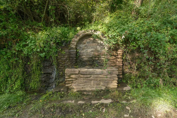 Water Fountain Covered Vegetation Fountain Built Stone Cement Vegetation Green — Stock Photo, Image