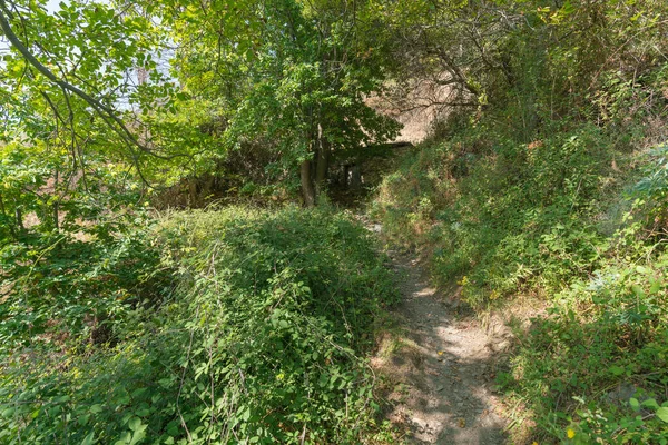 Voetgangers Pad Aan Zijkant Van Een Sierra Nevada Berg Zijn — Stockfoto