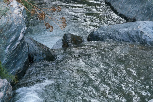 Río Sierra Nevada Sur España Hay Arbustos Hierba Hay Rocas —  Fotos de Stock