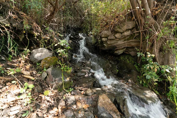 シエラネバダ山脈のストリームは 豊富な植生は 石があります — ストック写真