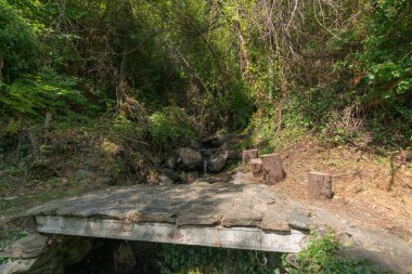 Sierra Nevada dağında küçük bir köprü var. Bol bitki örtüsü var. Taşlar var.