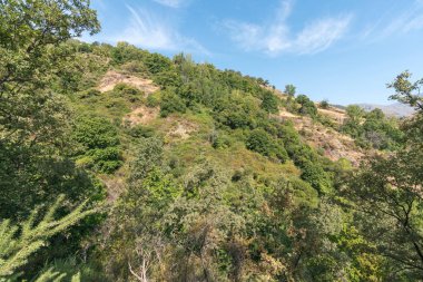 Sierra Nevada 'nın dağlık arazisi, ağaçlar, çalılar ve çimenler var, engebeli bir bölge, gökyüzü temiz.