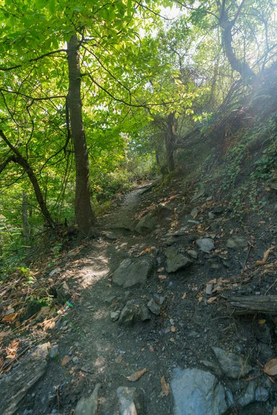 Voetgangers Pad Aan Zijkant Van Een Sierra Nevada Berg Zijn — Stockfoto