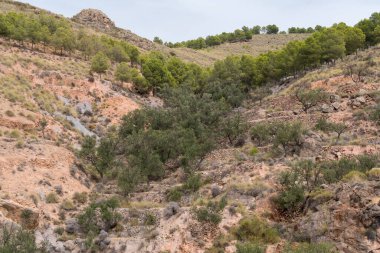 İspanya 'nın güneyindeki dağlık arazi, dağlarda ağaçlar ve çalılar var, gökyüzü bulutlu.