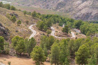 Güney İspanya 'da dağlık bir arazi, dağlarda ağaçlar ve çalılar var, bir orman yolu var, yolun kenarında park edilmiş kırmızı bir araba var.