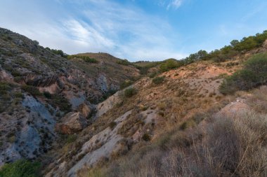Güney İspanya 'daki dağlık araziler, ağaçlar, çalılar ve çimenler, taşlar, gökyüzünde bulutlar var.