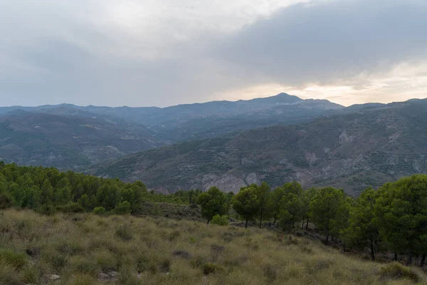 南スペインの山岳風景は 木ですが 茂みや草がある石は 空の雲があります — ストック写真