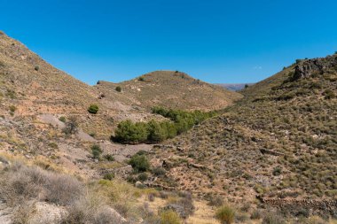 Güney İspanya 'nın dağlık arazisi, ağaçlar, çalılar ve çimenler var, taşlar var, gökyüzü açık.