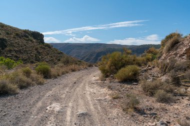 İspanya 'nın güneyindeki dağda orman yolu var, yerde kuru dallar var, gökyüzünde bulutlar var.