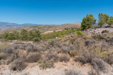 Güney İspanya 'nın dağlık arazisi, ağaçlar, çalılar ve çimenler var, taşlar var, gökyüzü açık.