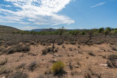 Güney İspanya 'daki dağlık araziler, ağaçlar, çalılar ve çimenler, taşlar, gökyüzünde bulutlar var.