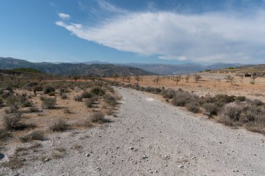 İspanya 'nın güneyindeki dağda orman yolu var, yerde kuru dallar var, gökyüzünde bulutlar var.