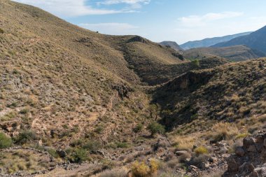 Güney İspanya 'daki dağlık araziler, ağaçlar, çalılar ve çimenler, taşlar, gökyüzünde bulutlar var.
