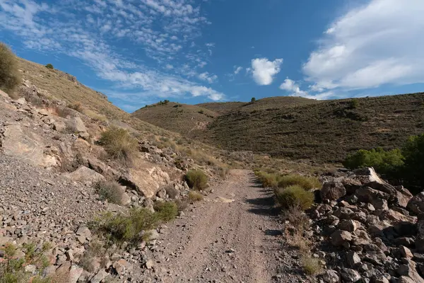 Δασική Πίστα Στο Βουνό Στη Νότια Ισπανία Υπάρχουν Ξηρά Κλαδιά — Φωτογραφία Αρχείου