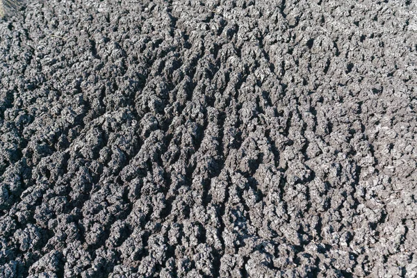 乾燥した泥に亀裂泥は灰色で — ストック写真