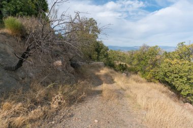 Güney İspanya 'daki dağlık arazi, ağaçlar ve çalılar var, gökyüzünde bulutlar var.