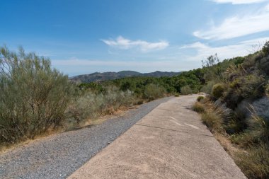 Güney İspanya 'daki dağdaki orman yolu betondan yapılmıştır. Ağaçlar, çalılar ve çimenler vardır. Gökyüzünde bulutlar vardır.