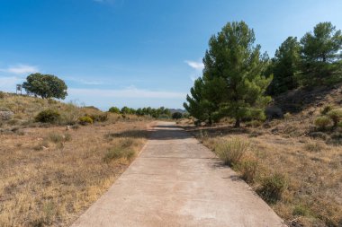 Güney İspanya 'daki dağdaki orman yolu betondan yapılmıştır. Ağaçlar, çalılar ve çimenler vardır. Gökyüzünde bulutlar vardır.