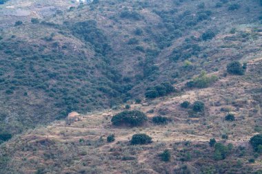 Güney İspanya 'nın dağlık arazisi, harabe bir çiftlik evi, ağaçlar, çalılar ve kuru otlar var.