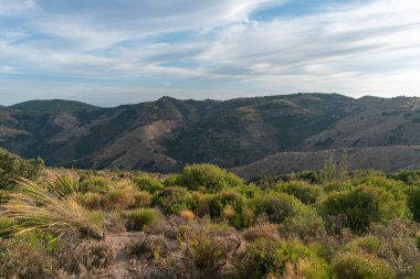 Güney İspanya 'daki dağlık arazi, ağaçlar ve çalılar var, gökyüzünde bulutlar var.