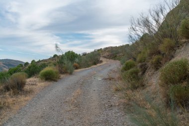 İspanya 'nın güneyindeki dağda orman yolunda ağaçlar, çalılar ve çimenler var. Gökyüzünde bulutlar var.