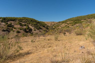 İspanya 'nın güneyindeki dağlık arazide çalılar, ağaç ve kuru otlar var. Gökyüzü açık.